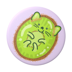 PopSockets PopTop Gen.2, KiwiCat, kiwi-kotě, výměnný vršek