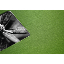Hama album klasické spirálové FINE ART 24x17 cm, 50 stran, jablečná zeleň